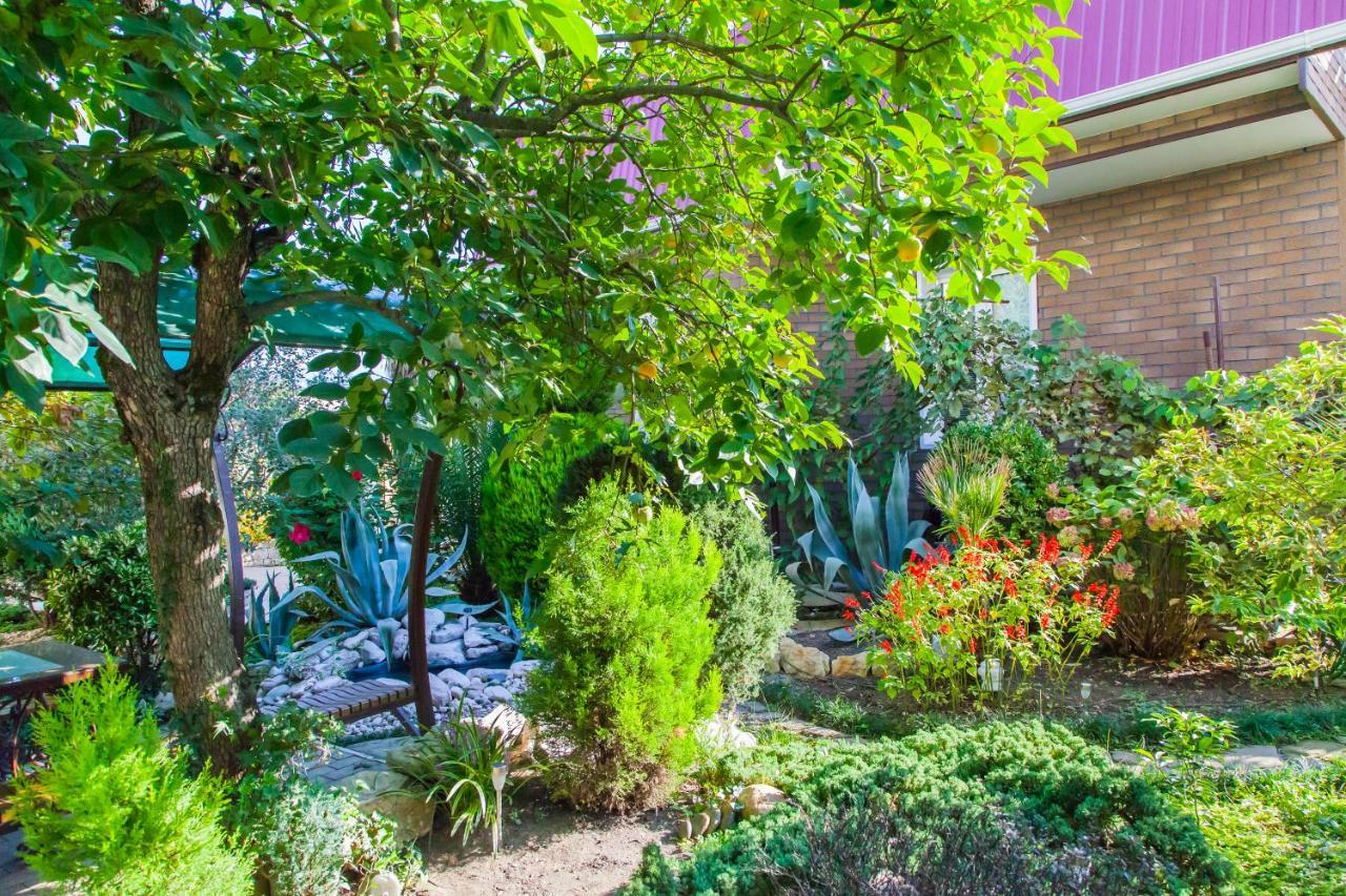 تساندريبش Primorie Guest House المظهر الخارجي الصورة